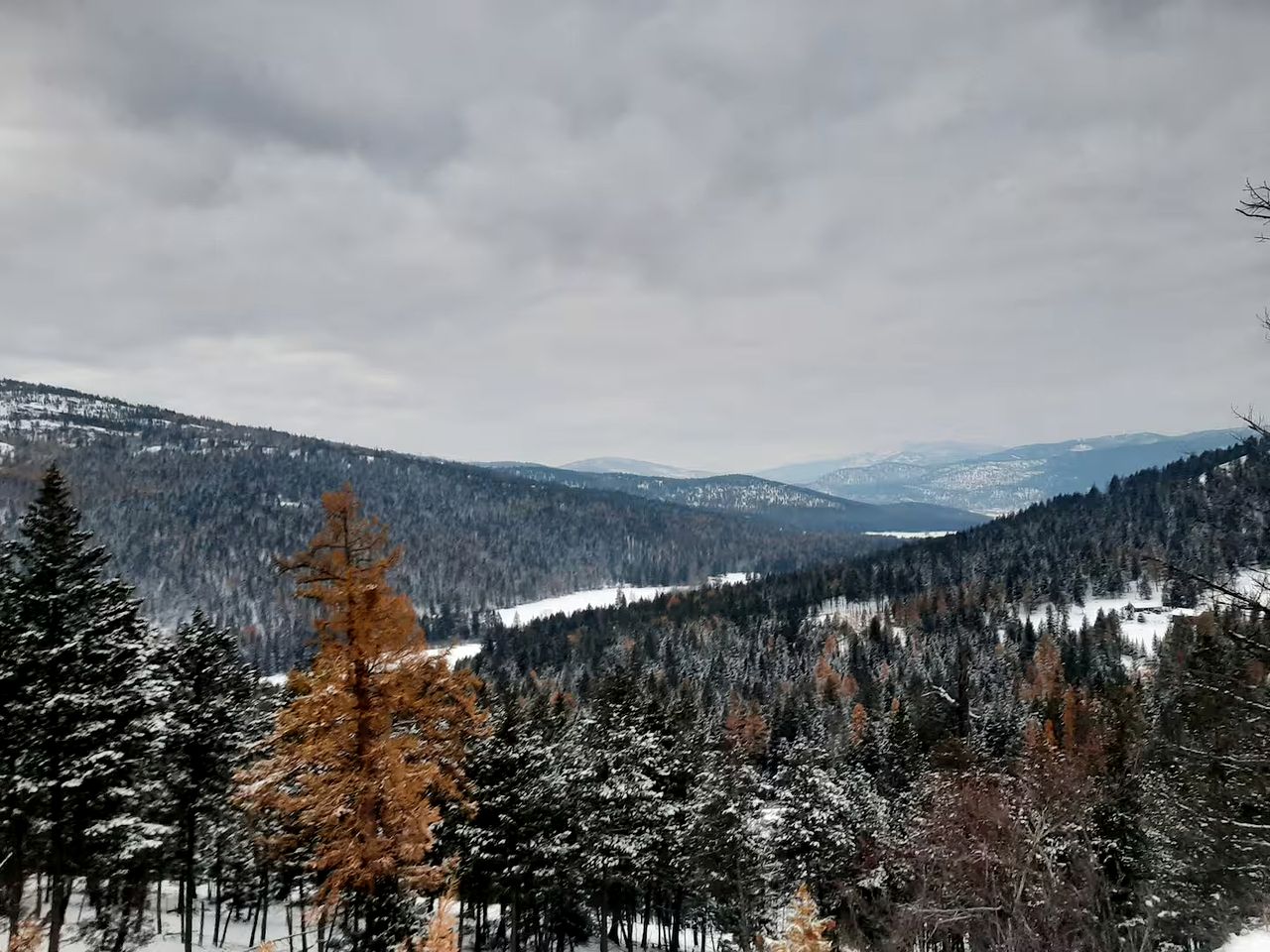 Rustic Elegance Cabin with Outdoor Shower & Mountain Views near Glacier National Park, Montana