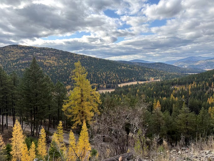 Cabins (United States of America, Lake Toxaway, North Carolina)