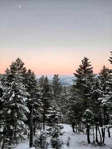 Cabins (United States of America, Lake Toxaway, North Carolina)