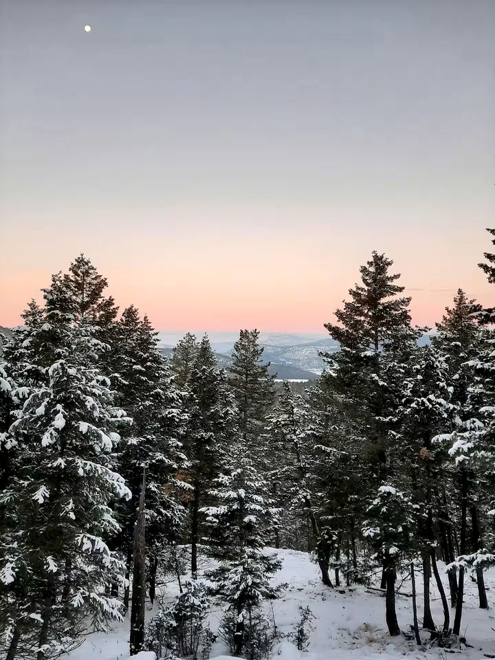 Rustic Elegance Cabin with Outdoor Shower & Mountain Views near Glacier National Park, Montana