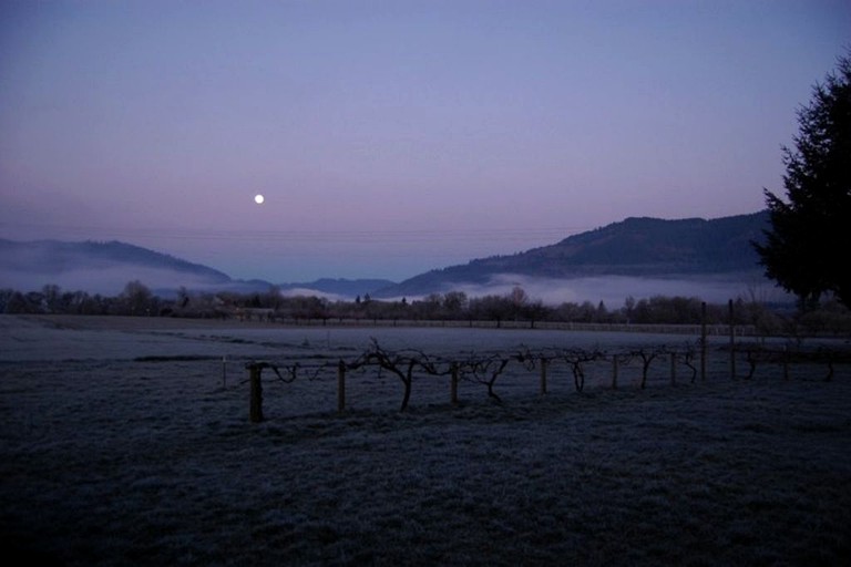 Cottages (Umpqua, Oregon, United States)
