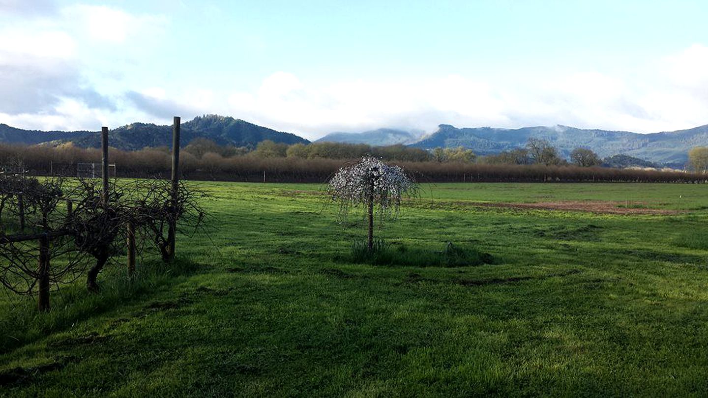 Rural Cottage for Rent with a Secluded Swimming Hole near Eugene, Oregon