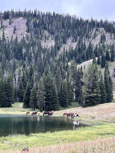 Cabins (United States of America, Island Park, Idaho)