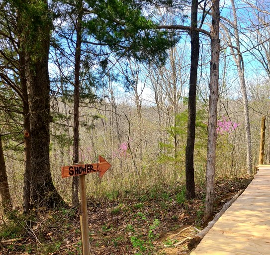Cabins (United States of America, Hartsburg, Missouri)