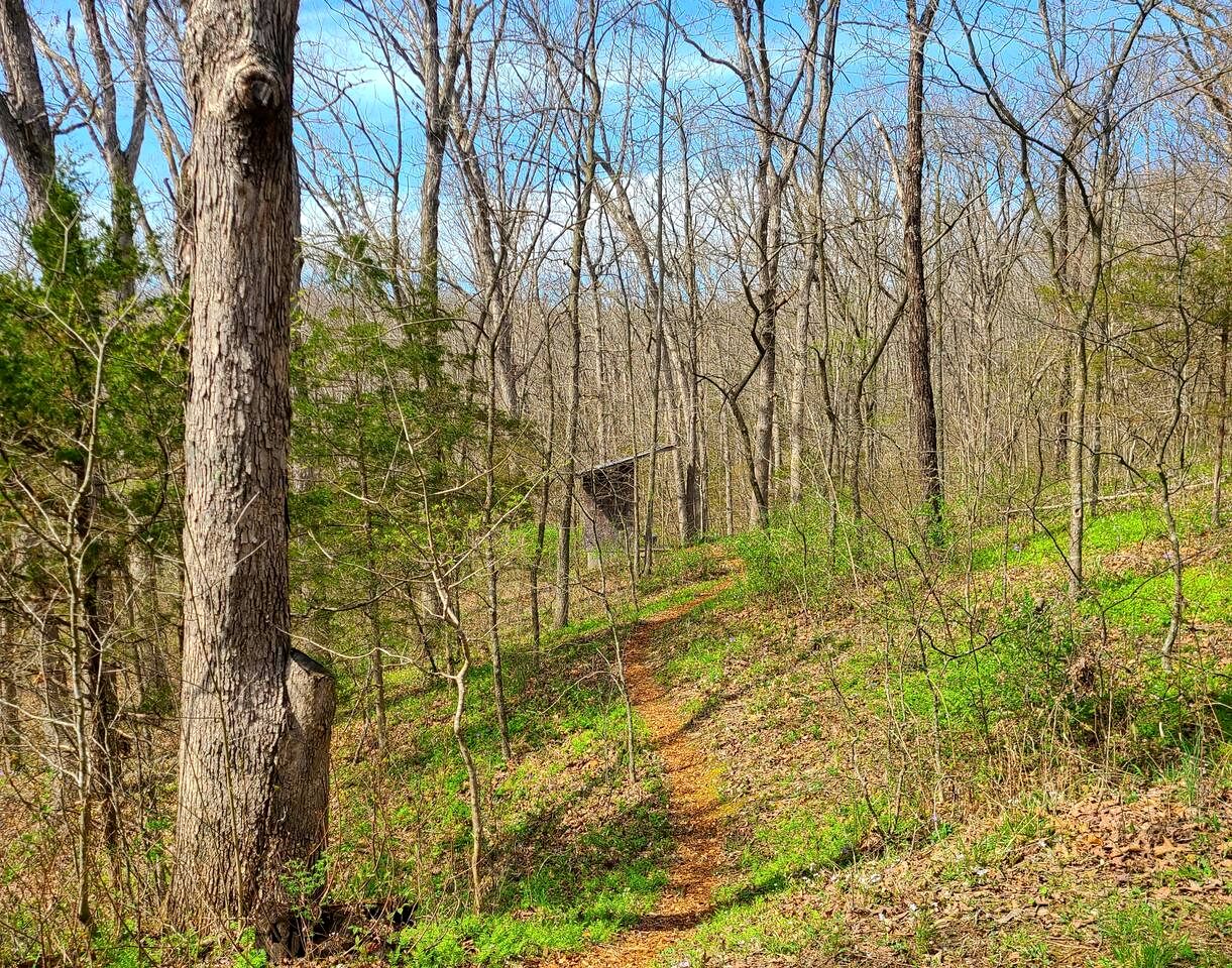 Rustic Glamping Cabin in Hartsburg, Missouri, Ideal to Explore Hart Creek Conservation Area