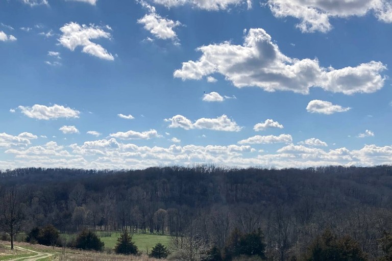 Cabins (United States of America, Hartsburg, Missouri)