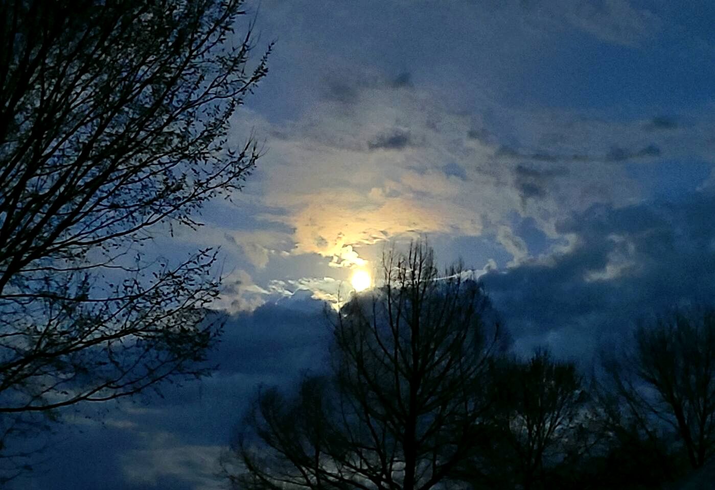Rustic Glamping Cabin in Hartsburg, Missouri, Ideal to Explore Hart Creek Conservation Area