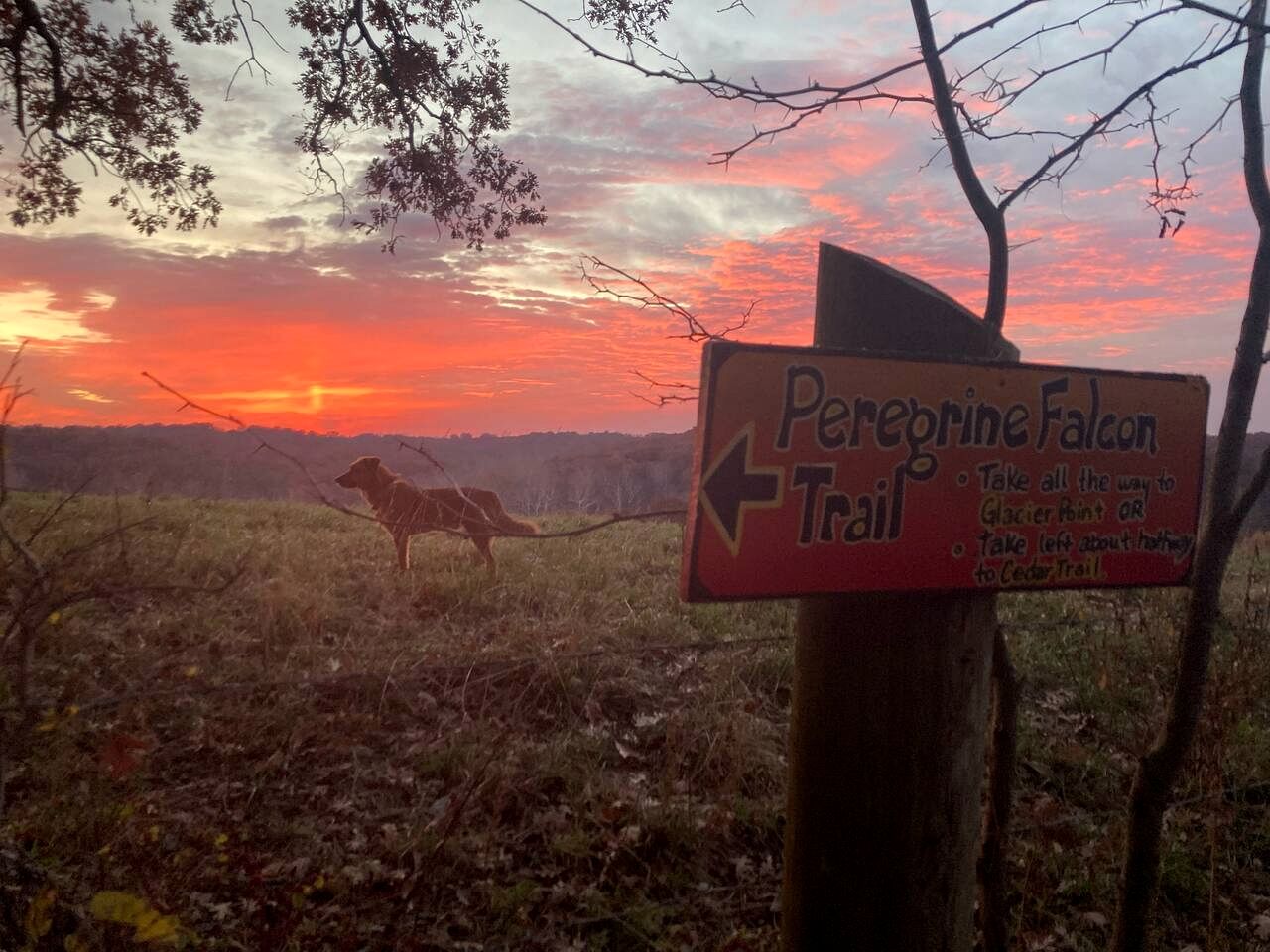 Rustic Glamping Cabin in Hartsburg, Missouri, Ideal to Explore Hart Creek Conservation Area