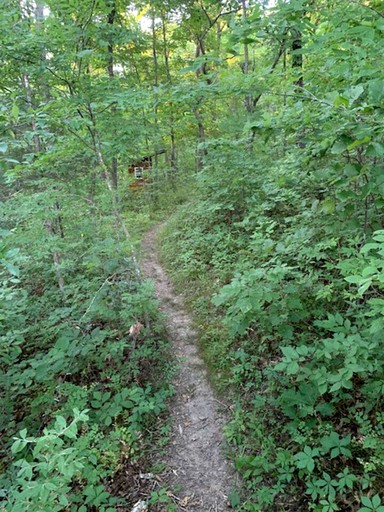 Cabins (United States of America, Hartsburg, Missouri)