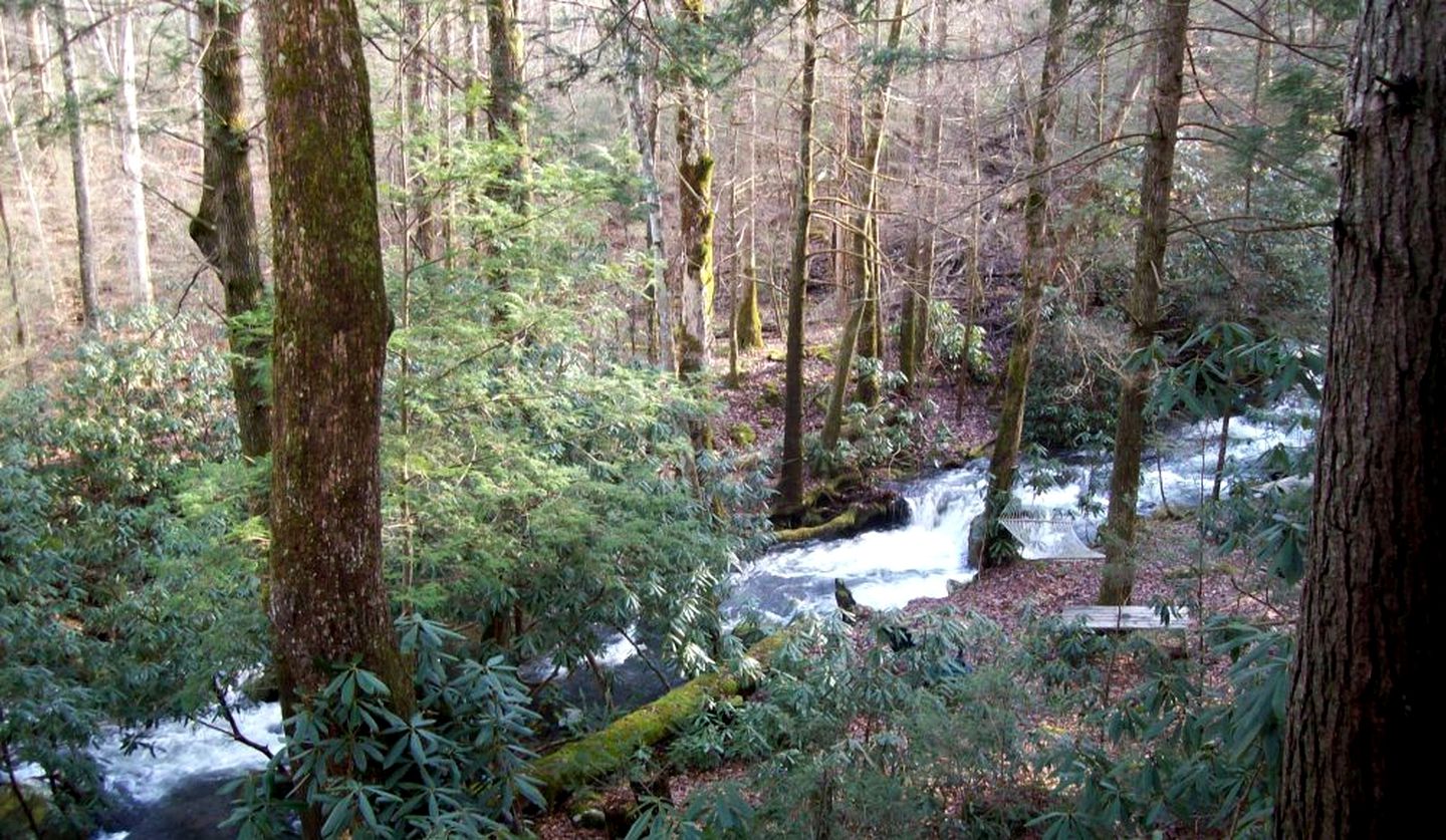 Rustic Log Cabin Rental with Picnic Area in Cosby, Tennessee