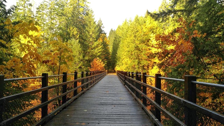 Log Cabins (Canada, Duncan, British Columbia)