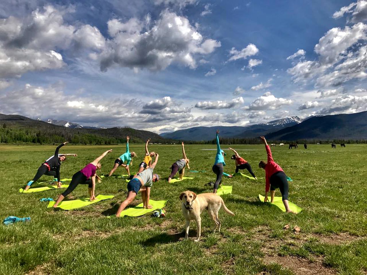Rustic Log Cabins in Wind River Mountain Range, Wyoming