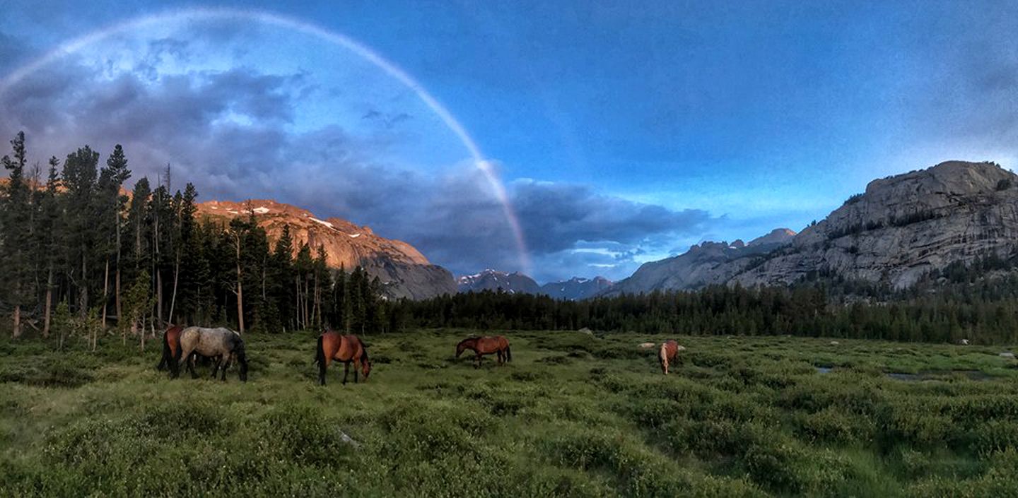 Rustic Log Cabins in Wind River Mountain Range, Wyoming