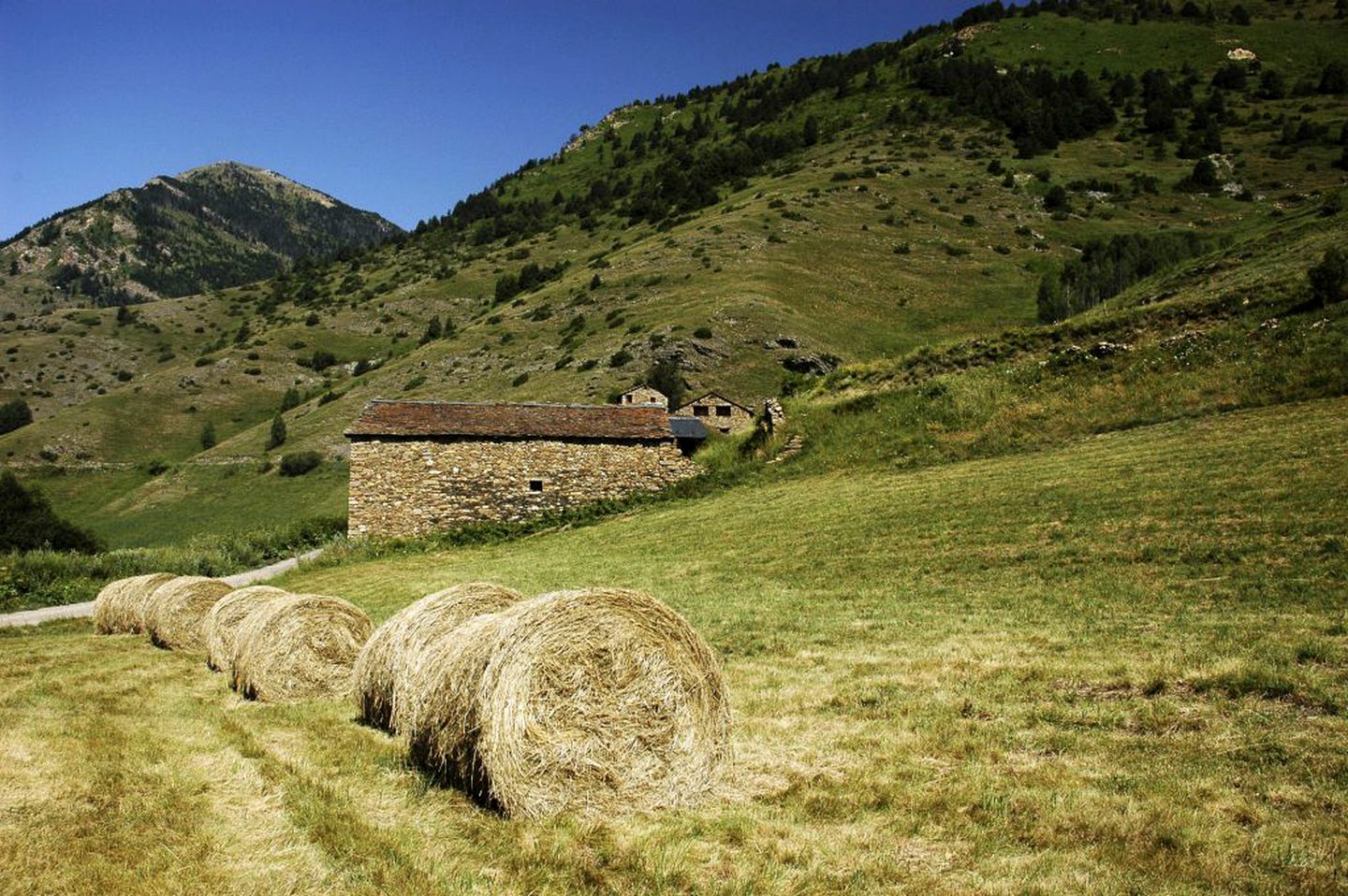 Rustic Luxury Cabins in the Catalonia Pyrenees near Andorra, Spain