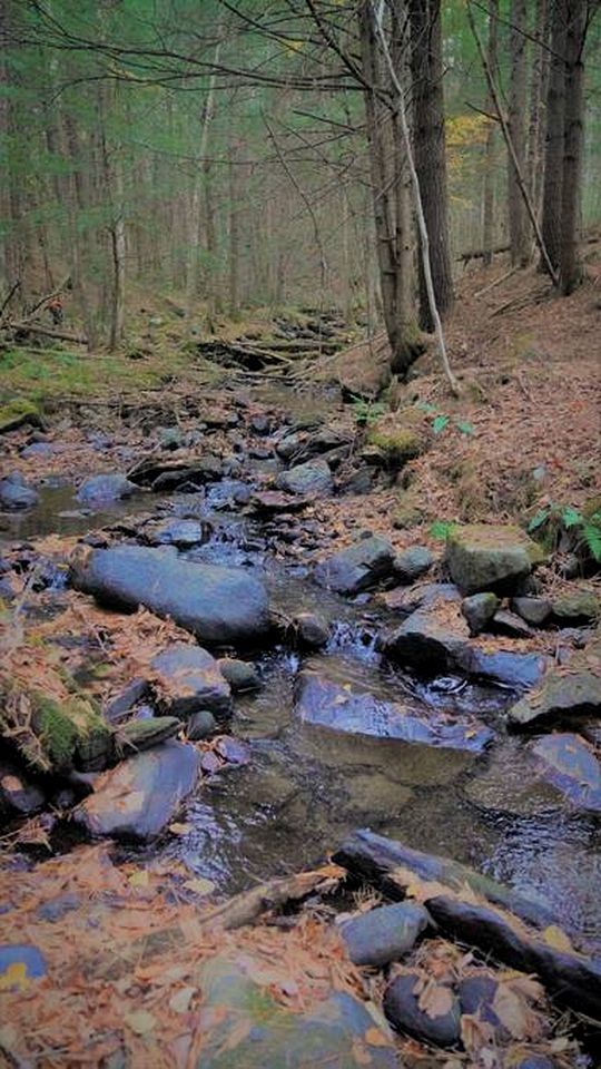 Rustic Pet-Friendly Bliss: Cabin Retreat in the White Mountains, NH