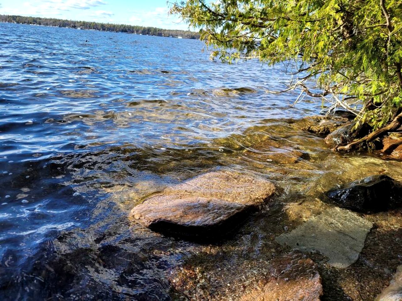 Spacious Family Cottage with Stunning Sunset Views on Sturgeon Lake, Near Bobcaygeon, Ontario
