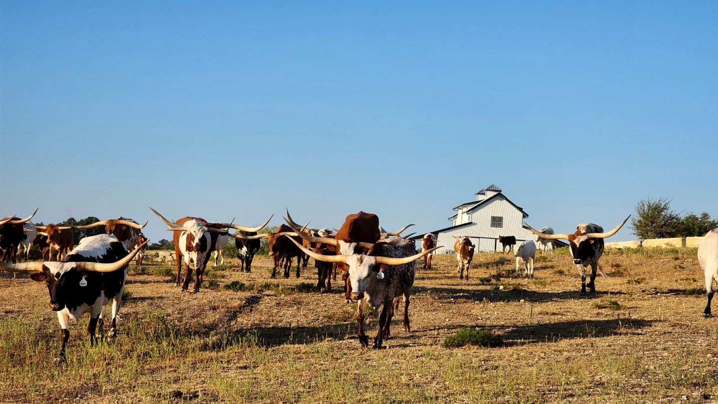 Rural Ranch Cottage Ideal for Groups or Family Reunions in Texas