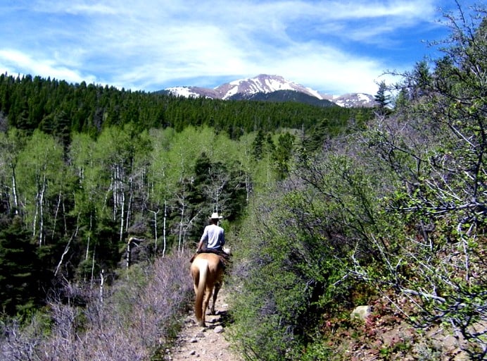 Barns (Westcliffe, Colorado, United States)