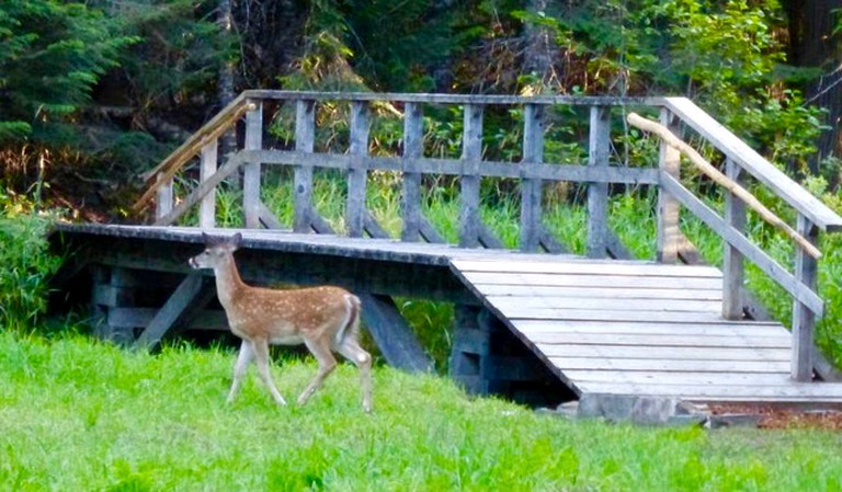 Yurts (Sandpoint, Idaho, United States)