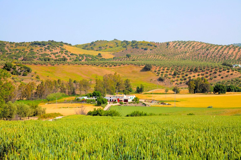 Villas (Pruna, Andalusia, Spain)