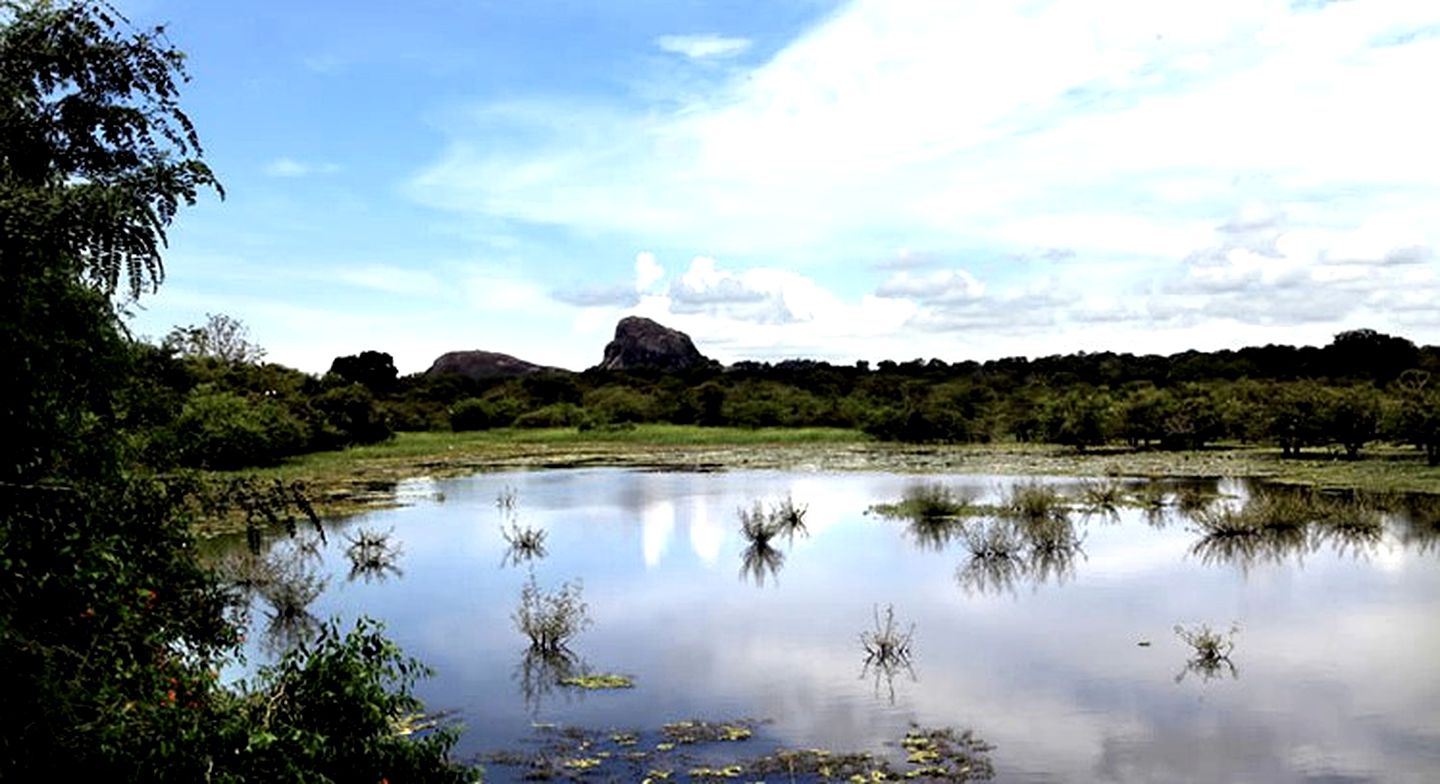 Rustic Safari Tents Near Tissa Lake in Sri Lanka