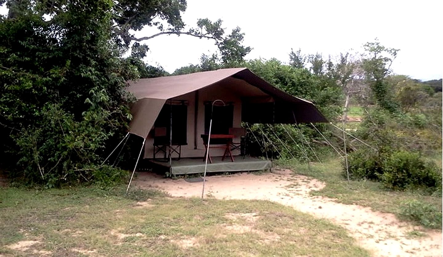 Rustic Safari Tents Near Tissa Lake in Sri Lanka