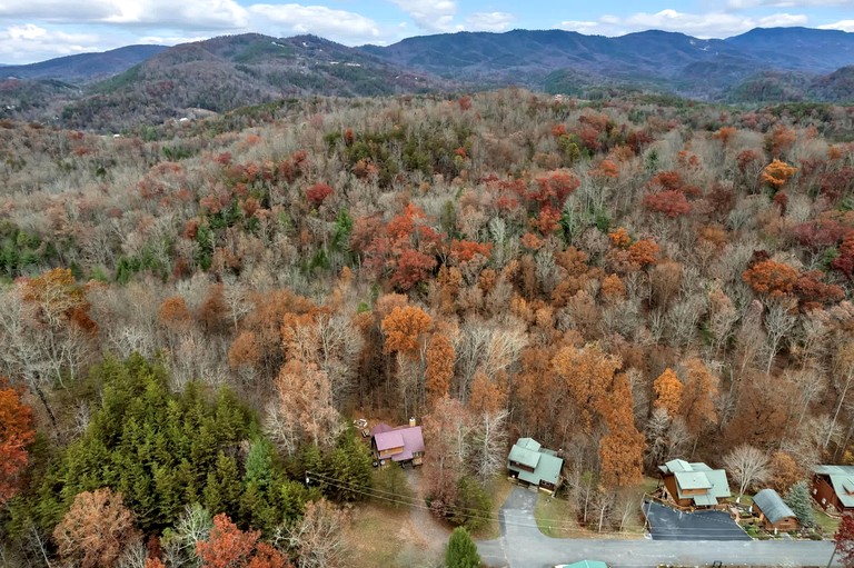Cabins (United States of America, Pittman Center, Tennessee)