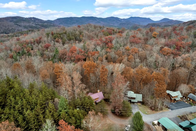 Cabins (United States of America, Pittman Center, Tennessee)