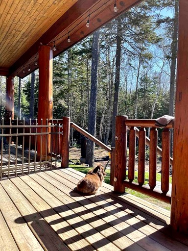 Cabins (United States of America, Greenville, Maine)