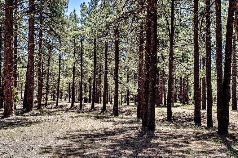 Vacation Rentals (United States of America, Parks, Arizona)