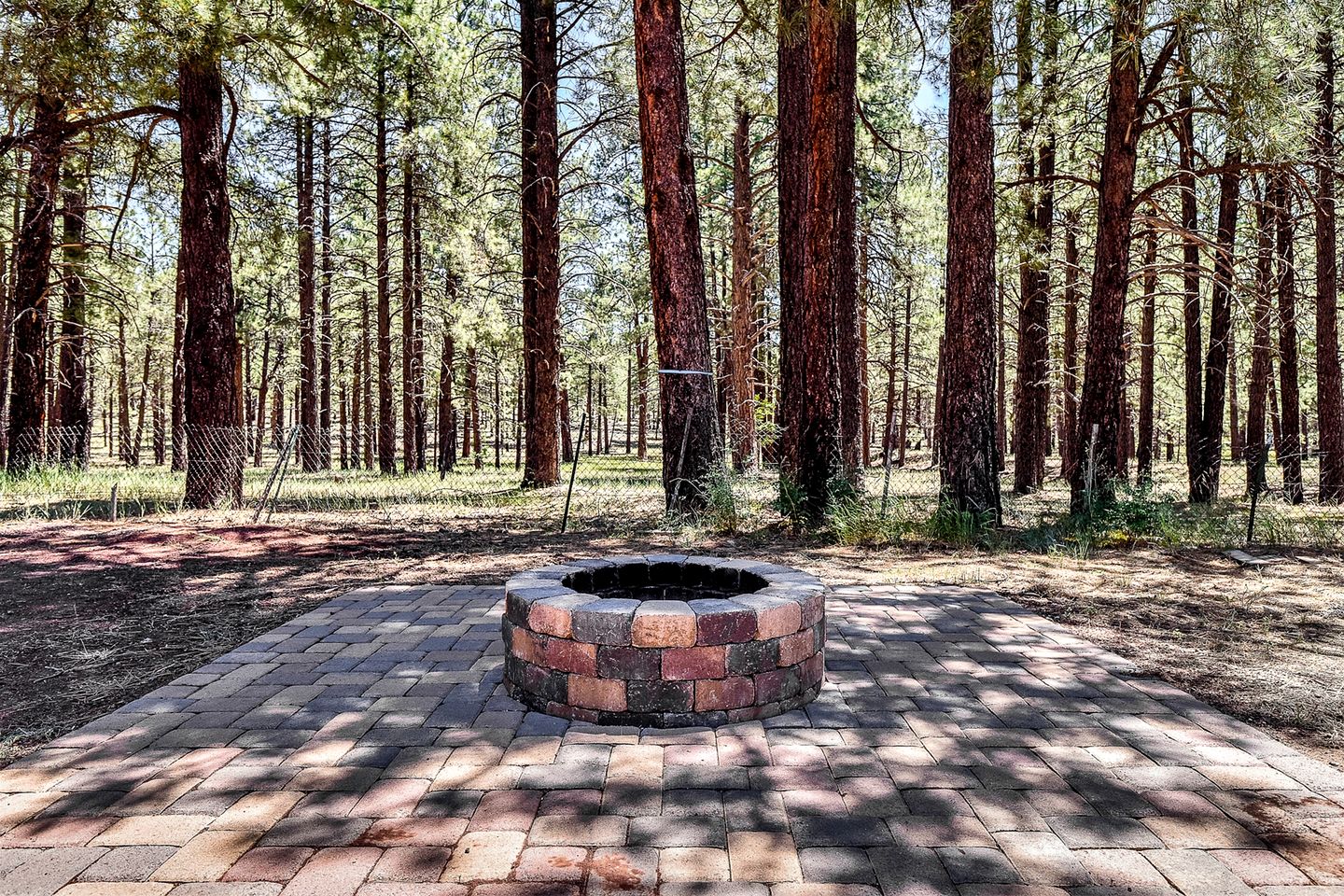 Authentic One Hundred Year Old Log Cabin in the Kaibab Forest, near the Grand Canyon, Arizona