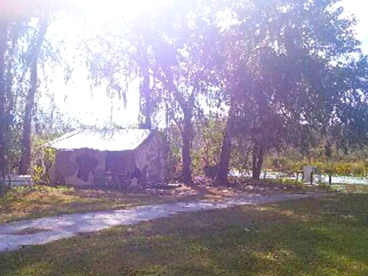 Tent Rental Ocala National Forest, Florida Glamping Hub