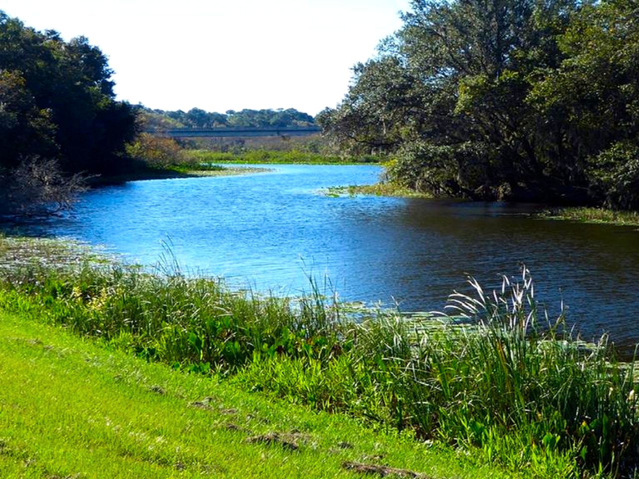 Tent Rental Ocala National Forest, Florida Glamping Hub
