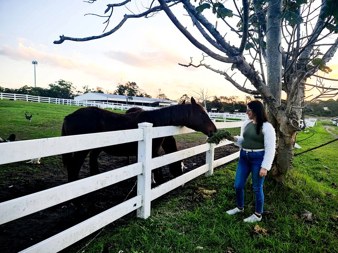 Tiny Houses (Australia, Glenworth Valley, New South Wales)