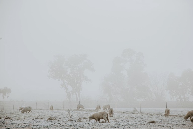 Tiny Houses (Australia, Boorowa, New South Wales)