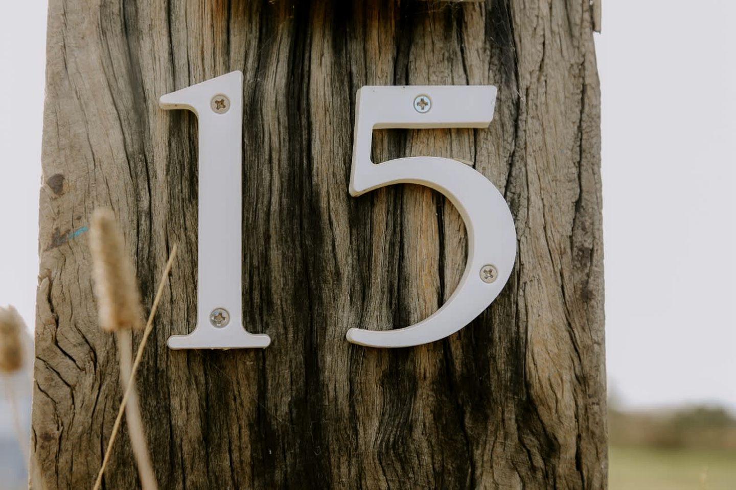 Rustic Tiny House Retreat with Fire Pit in New South Wales, Australia