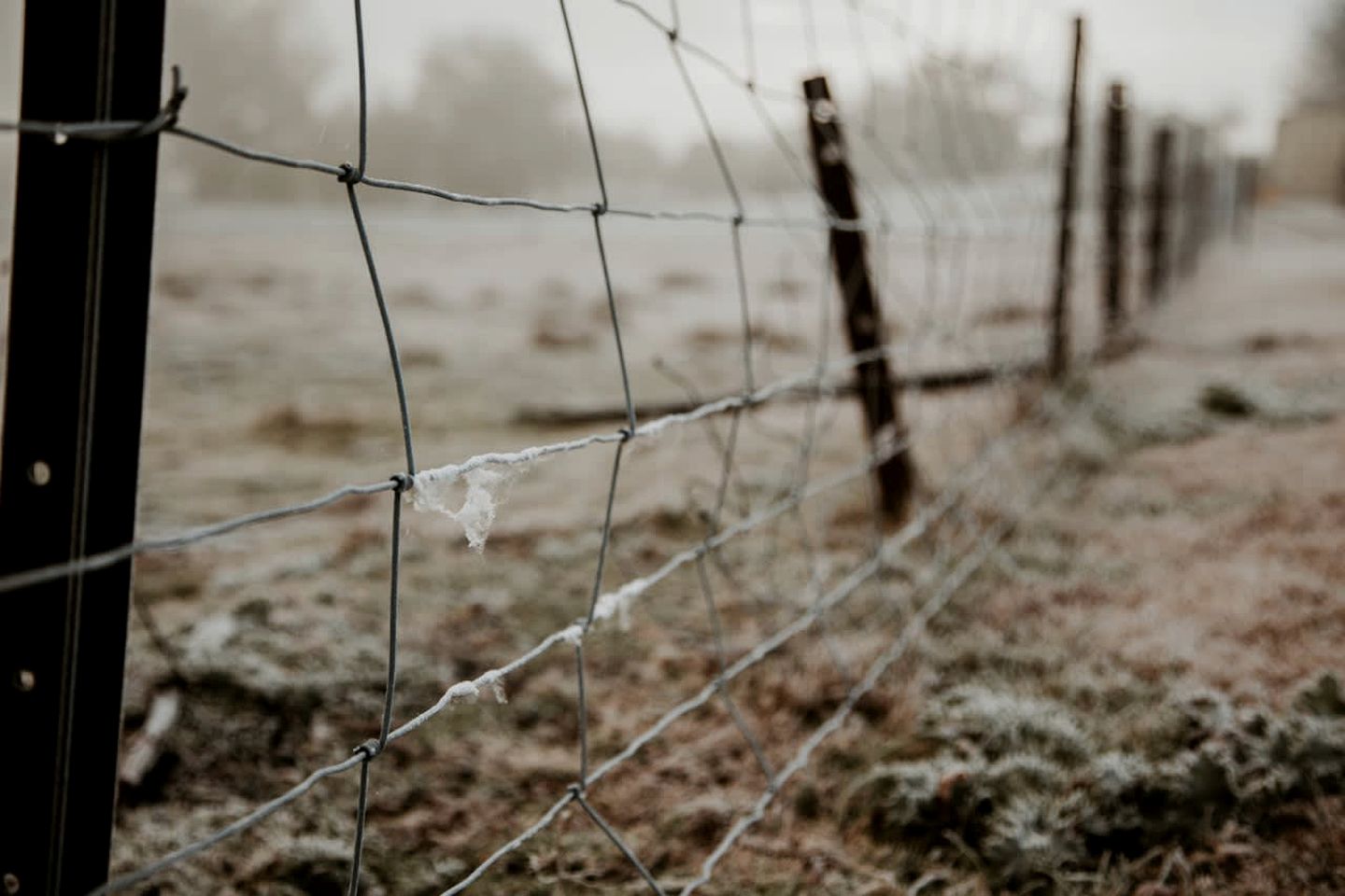 Rustic Tiny House Retreat with Fire Pit in New South Wales, Australia