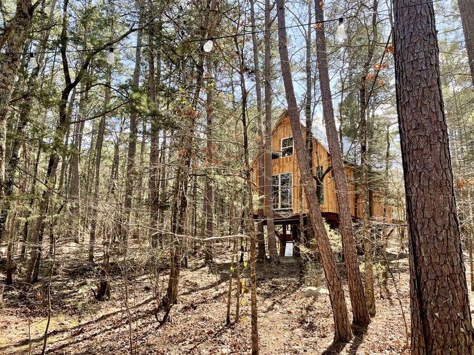 Tree Houses (United States of America, Boles, Arkansas)