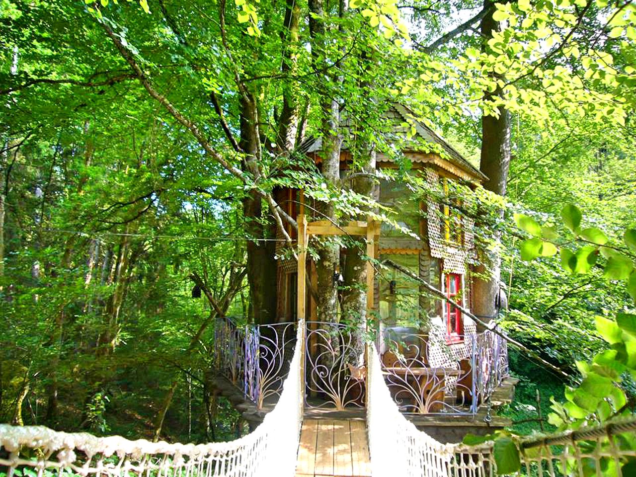 Rustic Tree House Rental for a Remote Holiday near Ussel, France