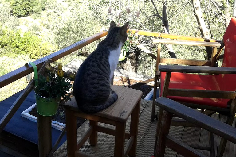 Tree Houses (Kalamata, Peloponnese, Greece)