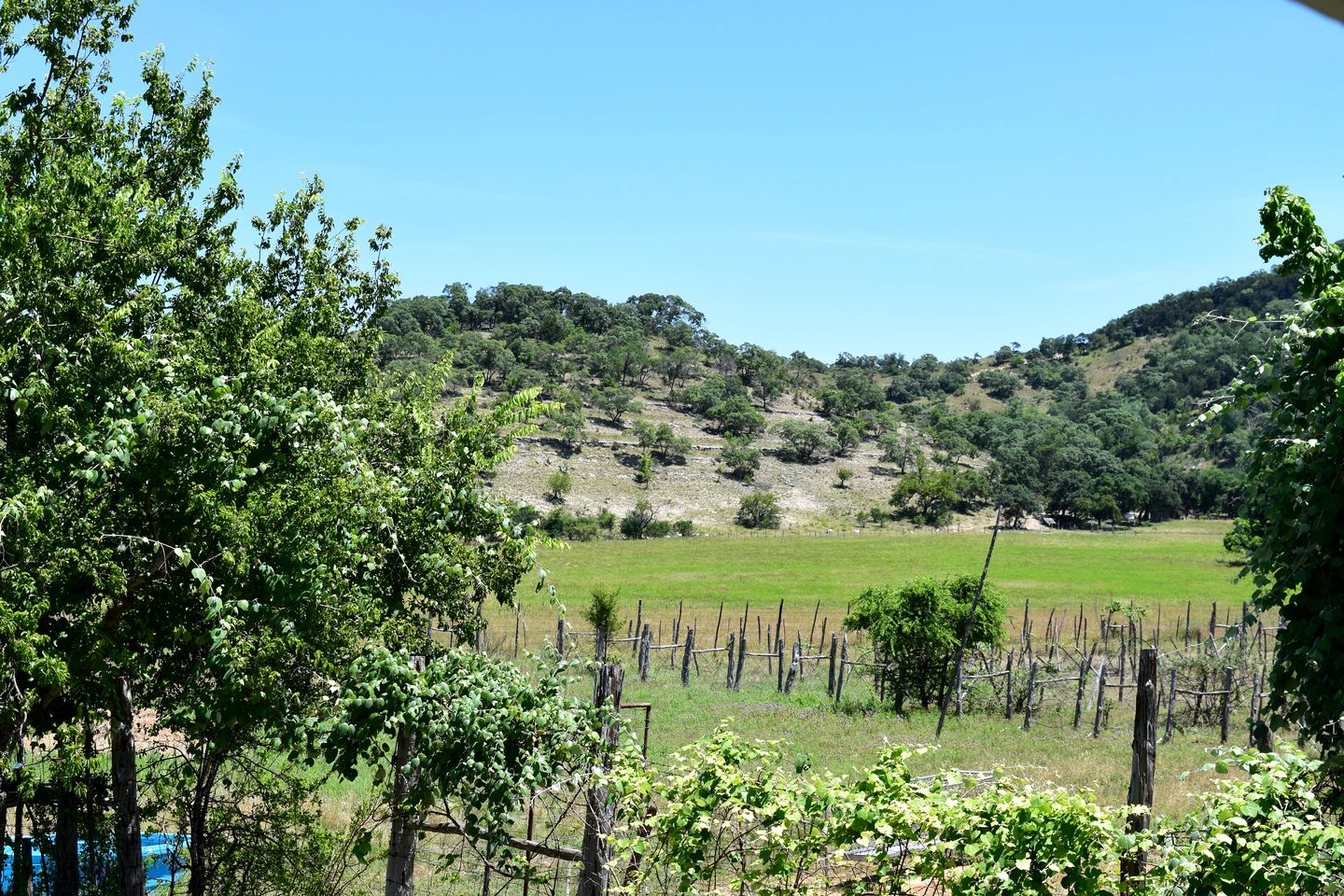 Rustic Vacation Rental with Fire Pit in Bandera County, Texas