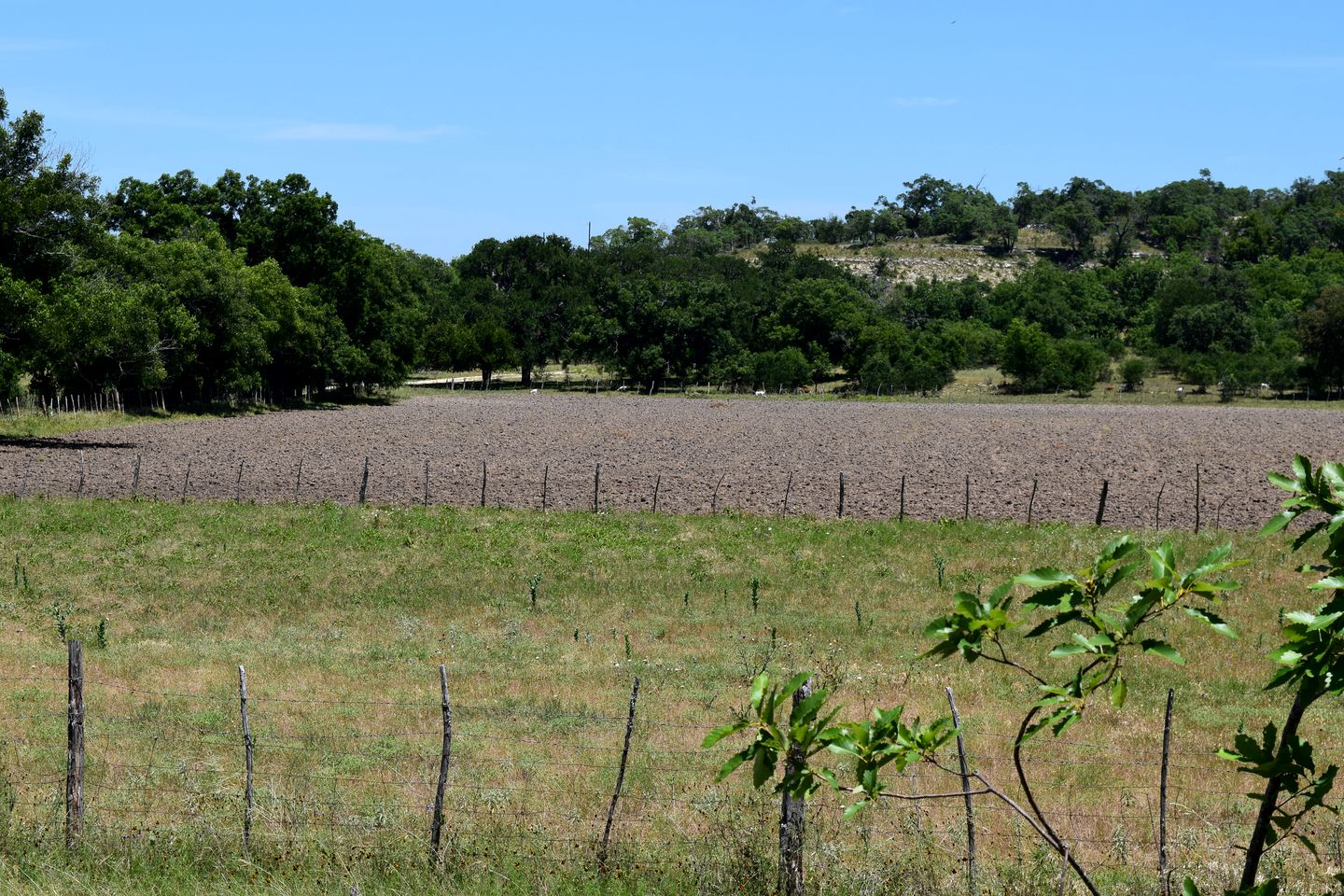 Rustic Vacation Rental with Fire Pit in Bandera County, Texas