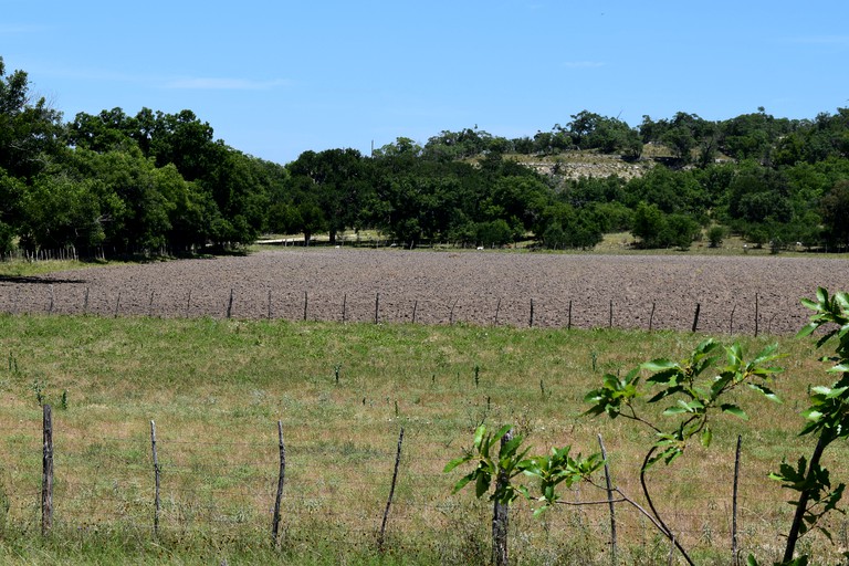 Cottages (Medina, Texas, United States)