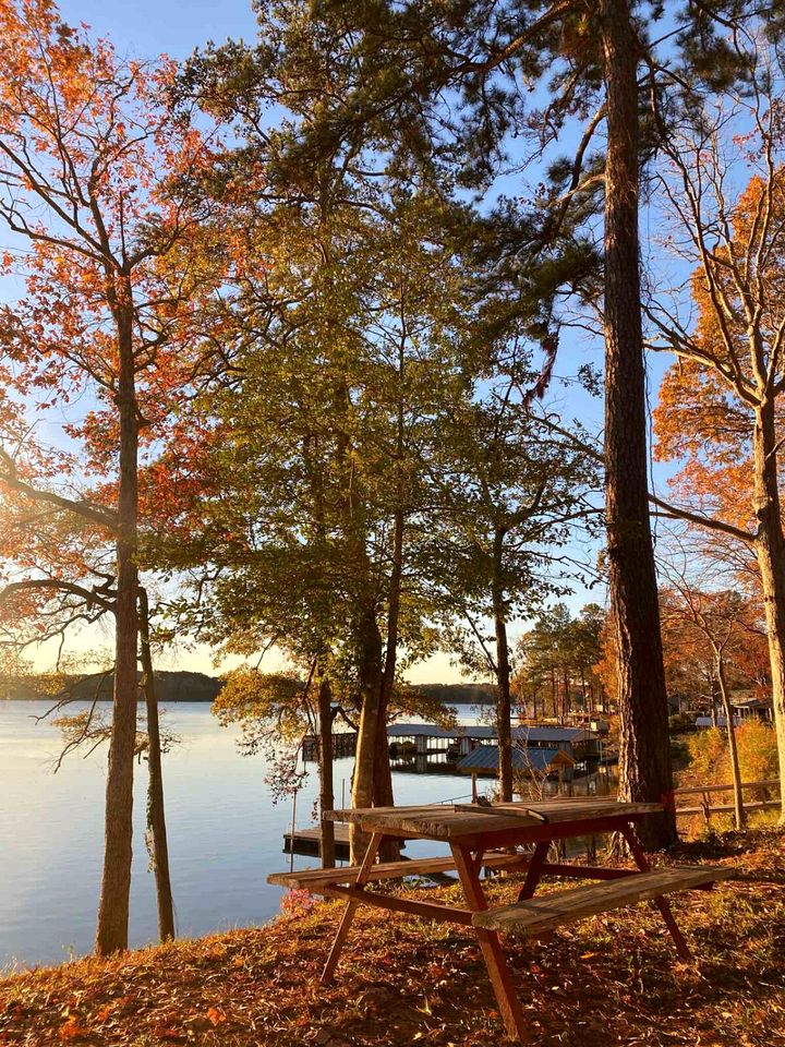 Rustic Waterfront Cabin on Toledo Bend Lake for an Unforgettable Getaway in Nature in Hemphill, Texas