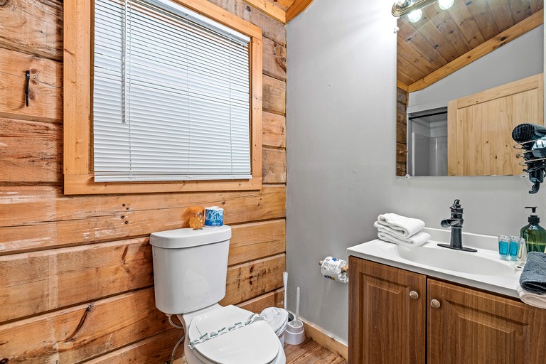 Cabins (United States of America, Sevierville, Tennessee)