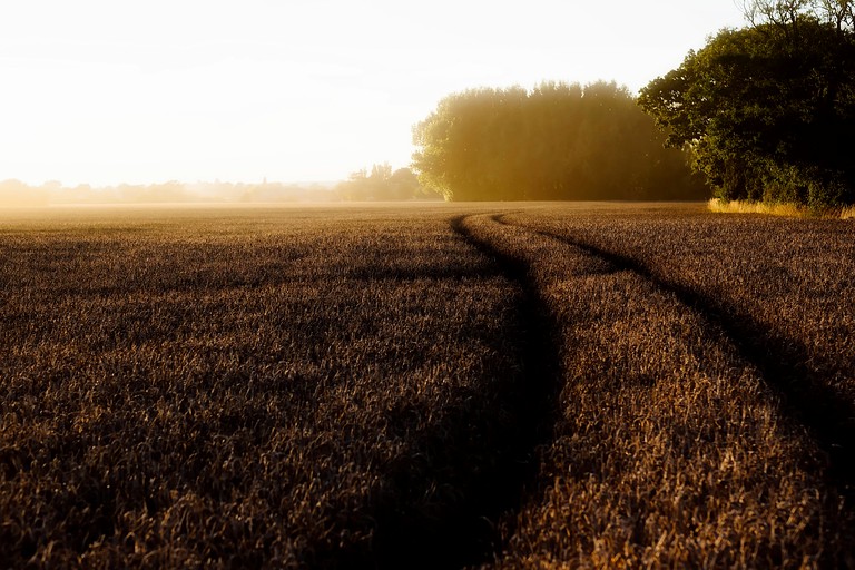 Yurts (Bodmin, England, United Kingdom)