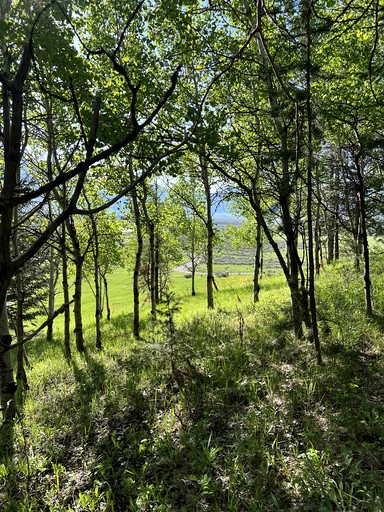 Vacation Rentals (United States of America, Cameron, Montana)