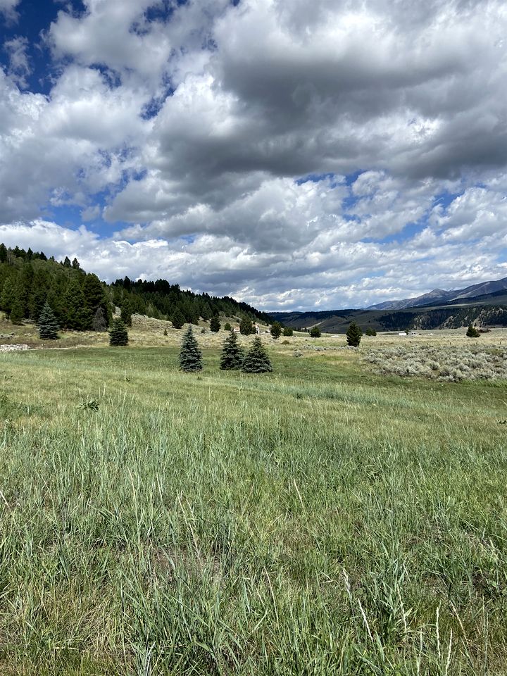 Luxurious Log Home with Madison River Views near Three Dollar Bridge, J & J Ranch, Montana