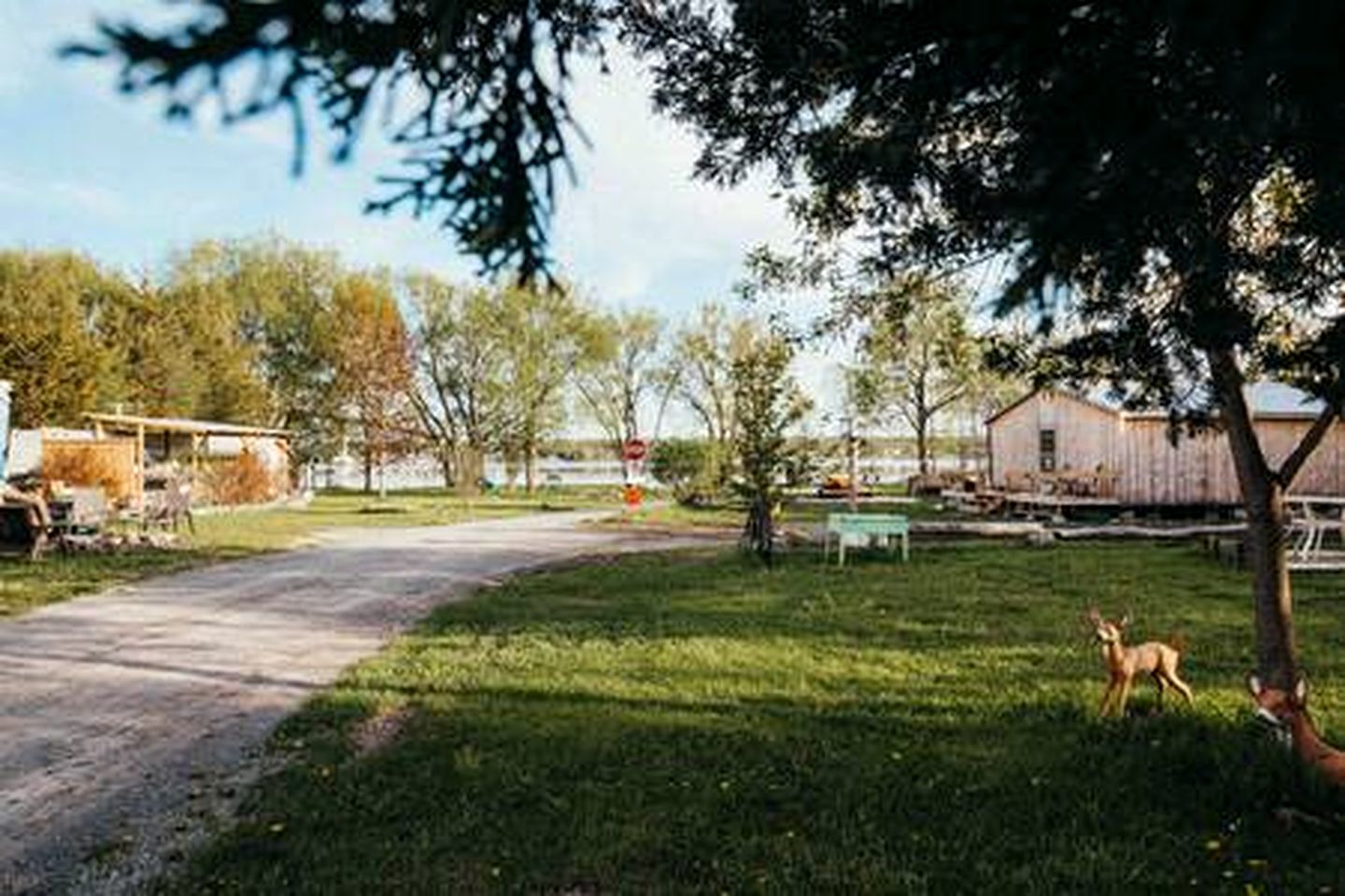 Incredible Caravan with Fire Pit and Games in Deseronto, Ontario