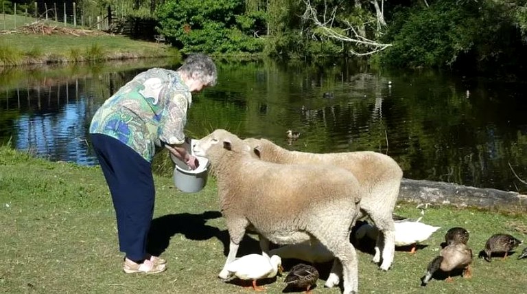 Romantic Room Rental on Secluded Site near Rotorua, New Zealand | Nature Lodges (Rotorua, North Island, New Zealand)